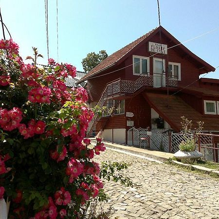 Pensiunea Floare De Colt Sinaia Dış mekan fotoğraf