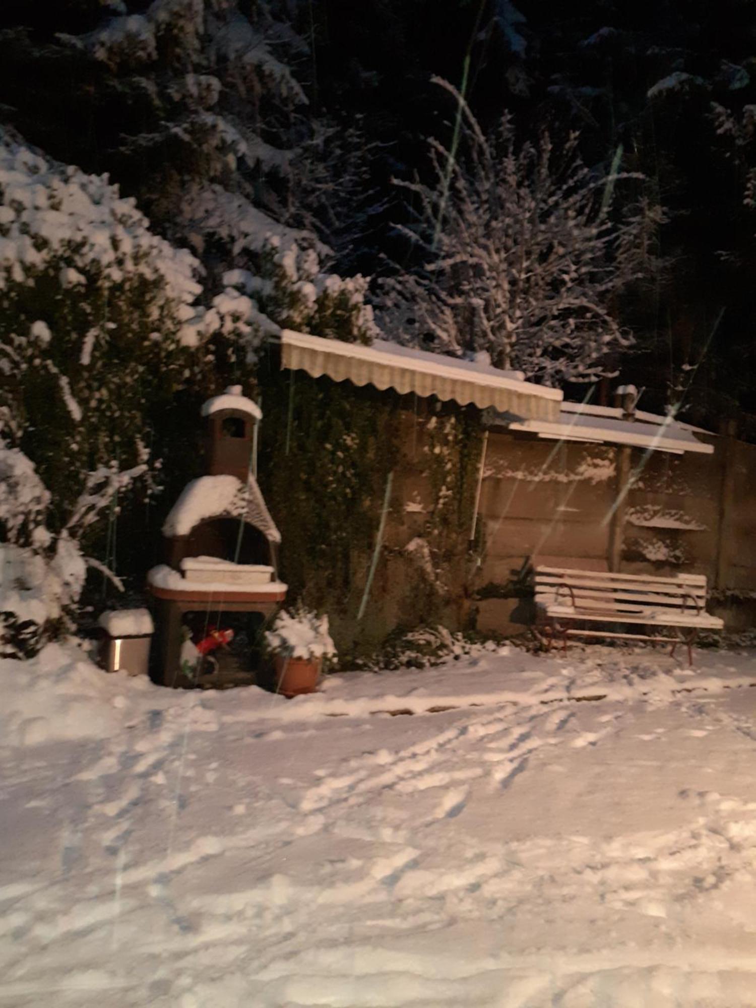 Pensiunea Floare De Colt Sinaia Dış mekan fotoğraf