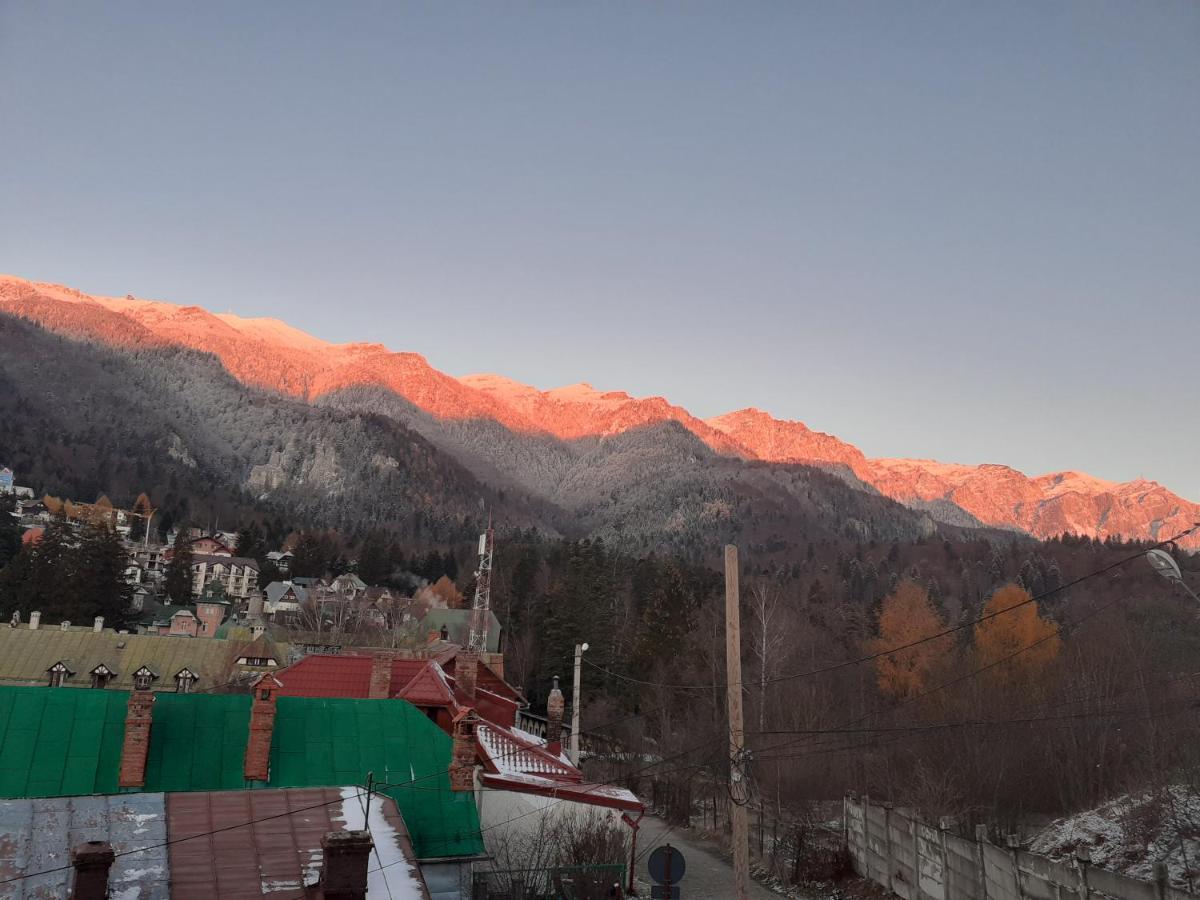 Pensiunea Floare De Colt Sinaia Dış mekan fotoğraf