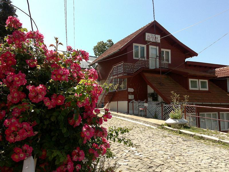 Pensiunea Floare De Colt Sinaia Dış mekan fotoğraf